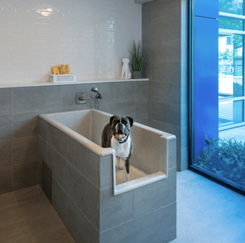 Pet spa